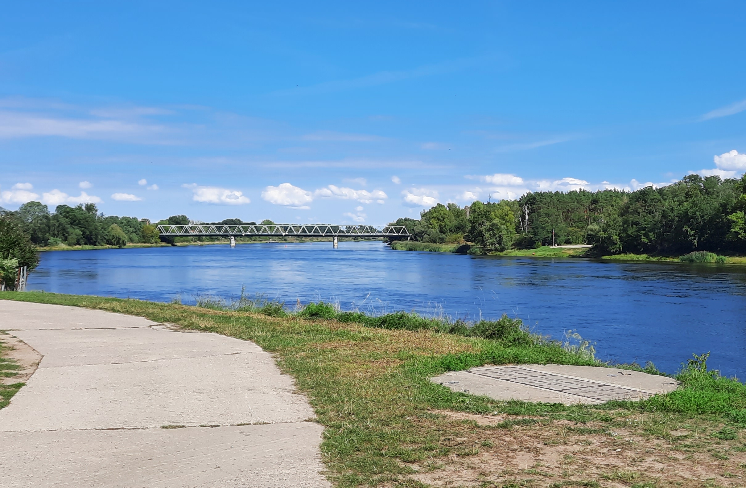 Oder bei Hohenwutzen / Odra w Osinowie Dolnym, Foto: Christian Gering